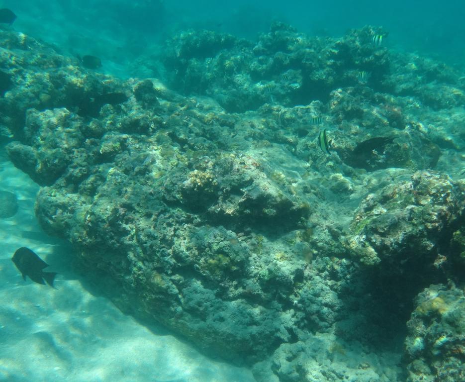 Wera Beach Kadumbul Extérieur photo