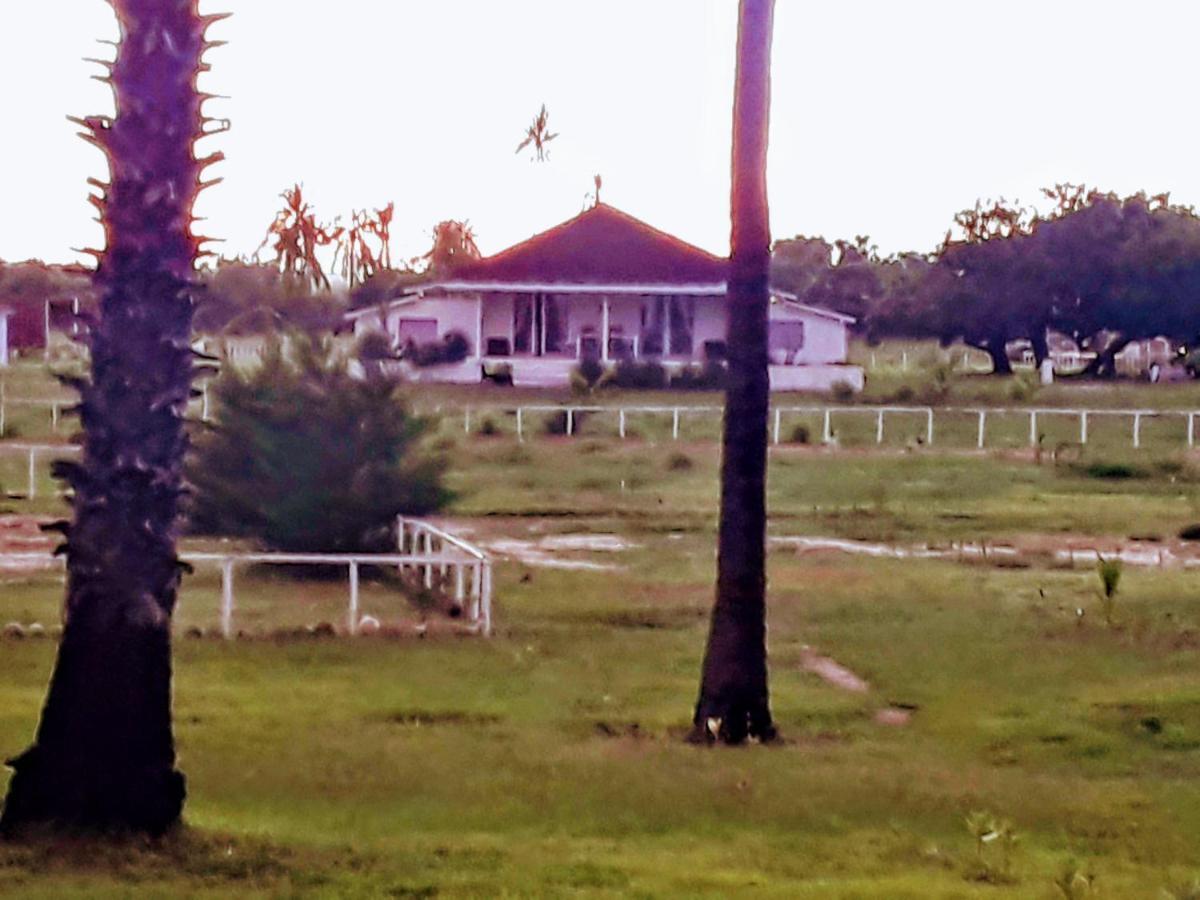 Wera Beach Kadumbul Extérieur photo